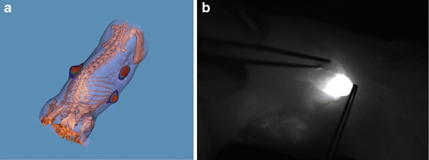 Fig. 2