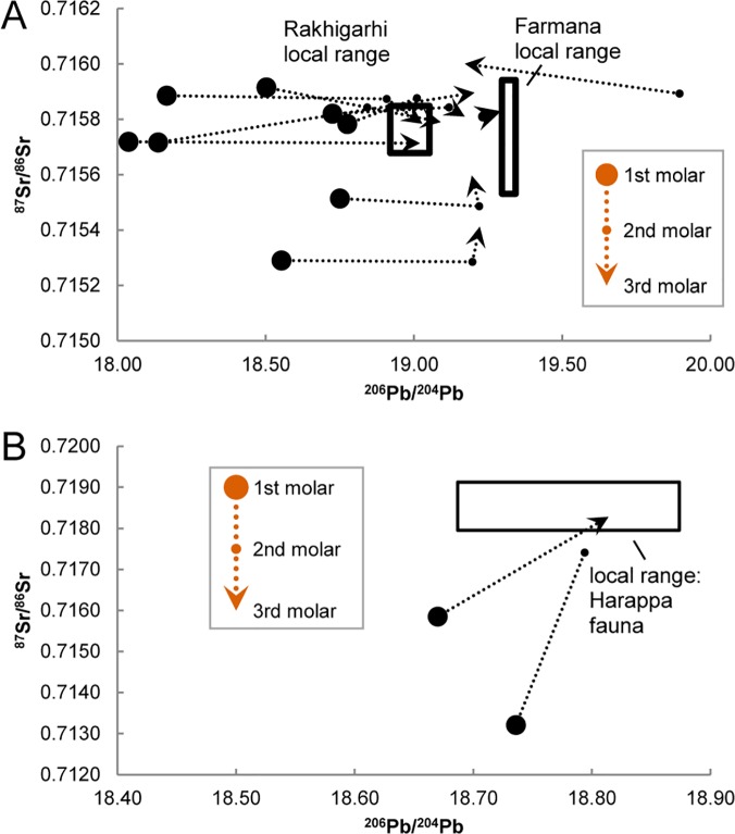 Fig 5