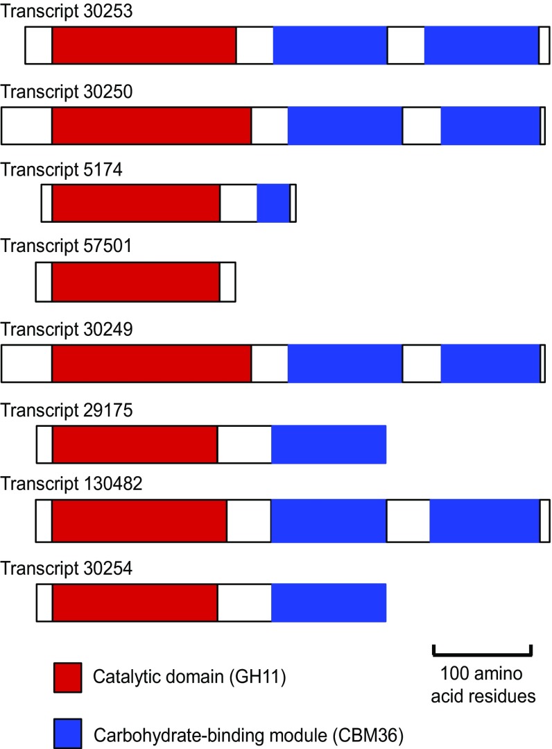 Fig. 3.