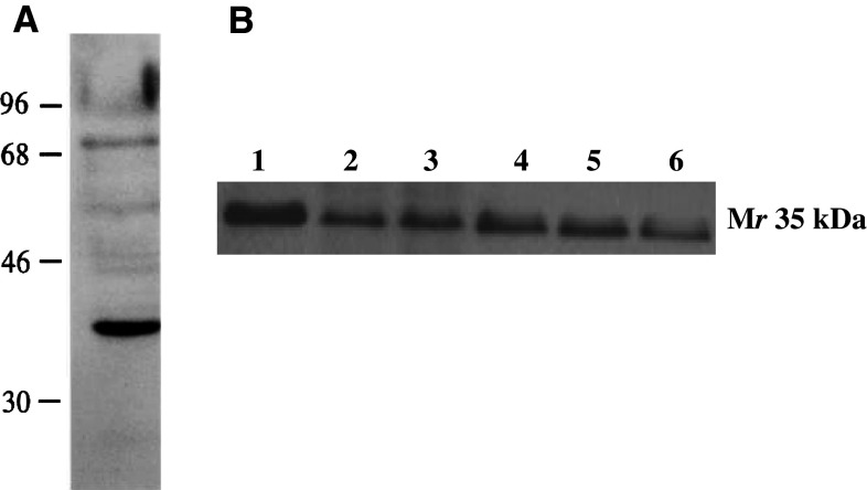 Fig. 7