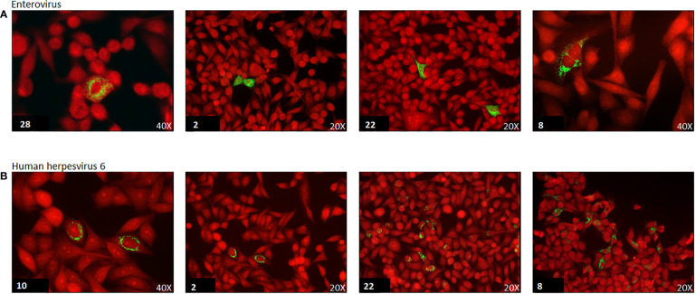 Figure 2