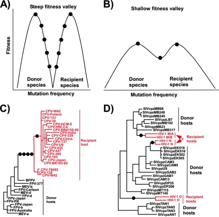 FIG. 7.