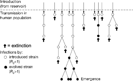 FIG. 2.