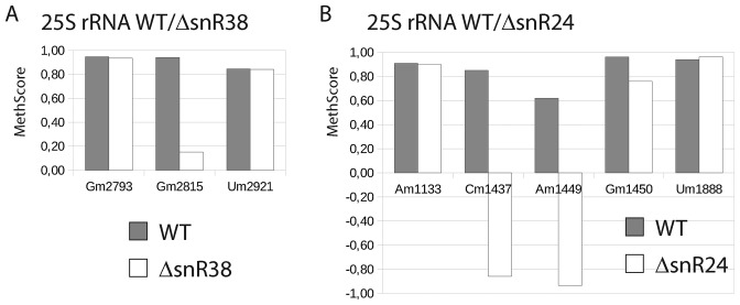 Figure 5.