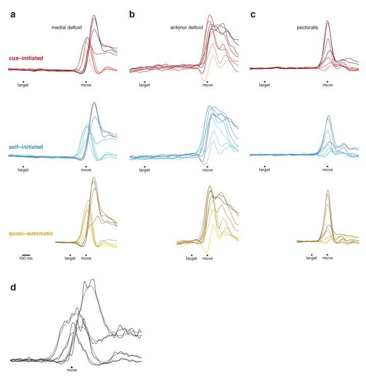 Figure 3—figure supplement 1.