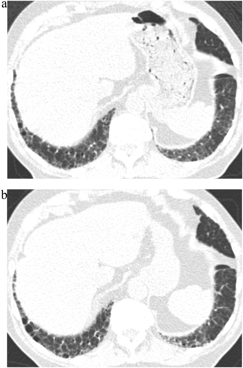 Fig. 5