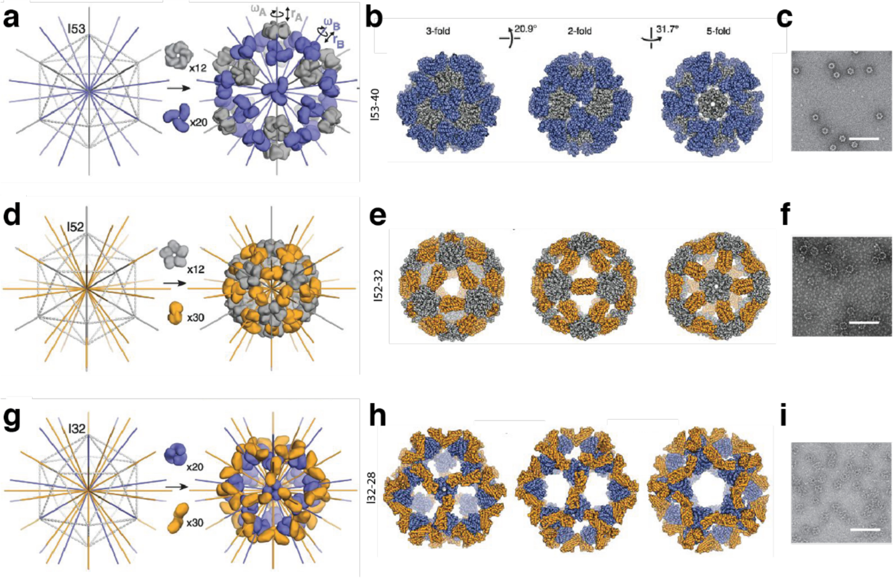 Figure 31.