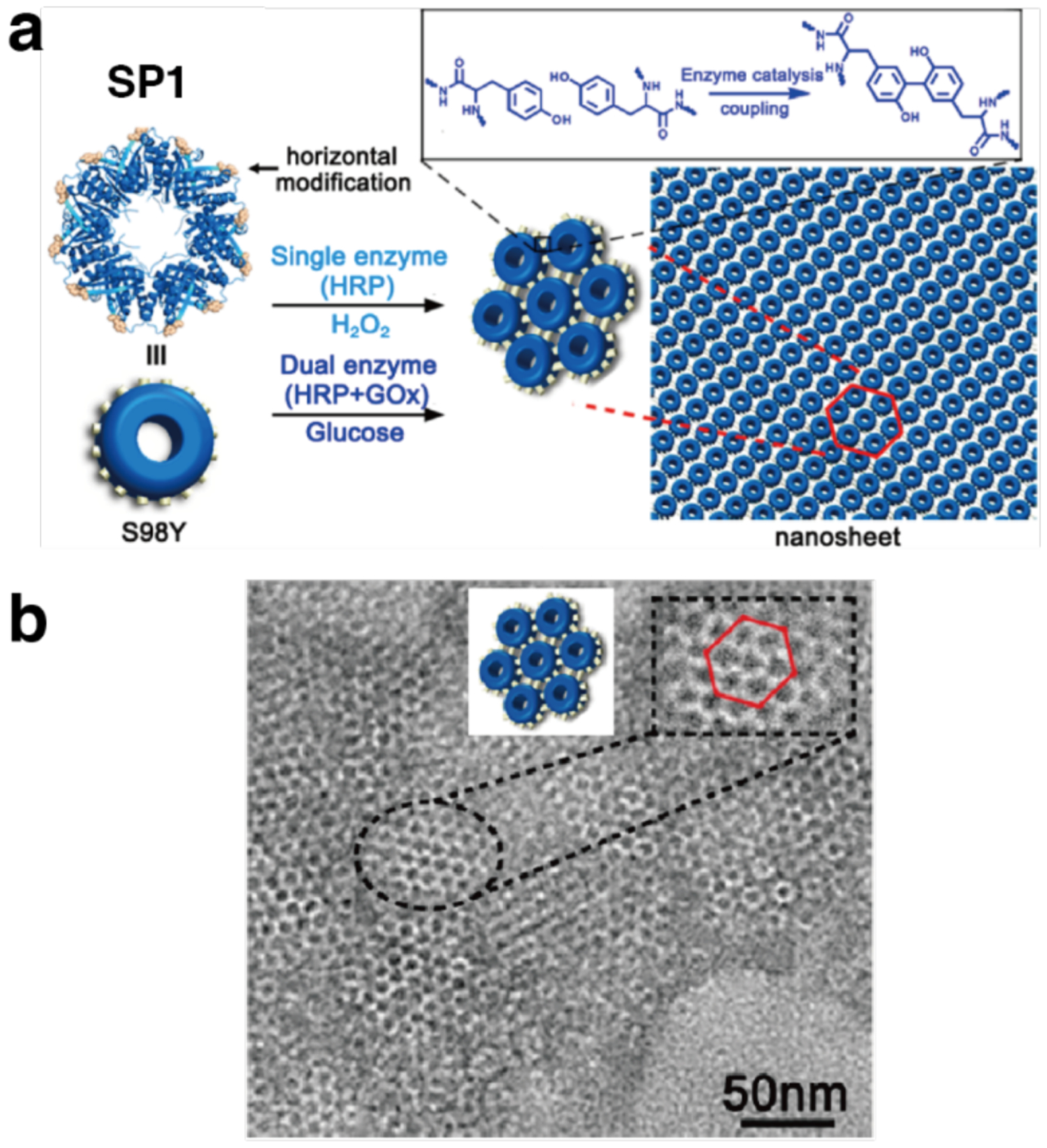 Figure 52.