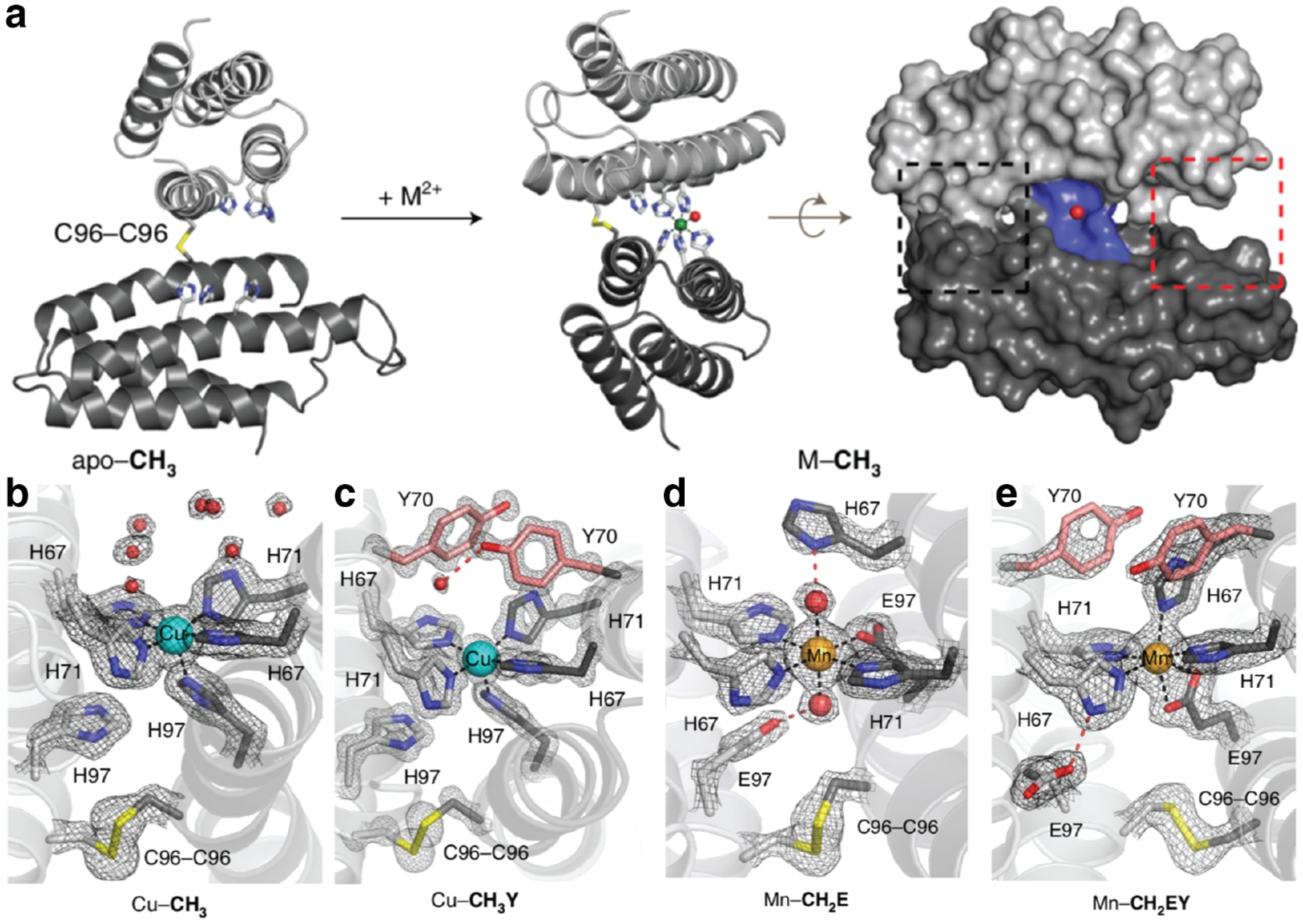 Figure 13.