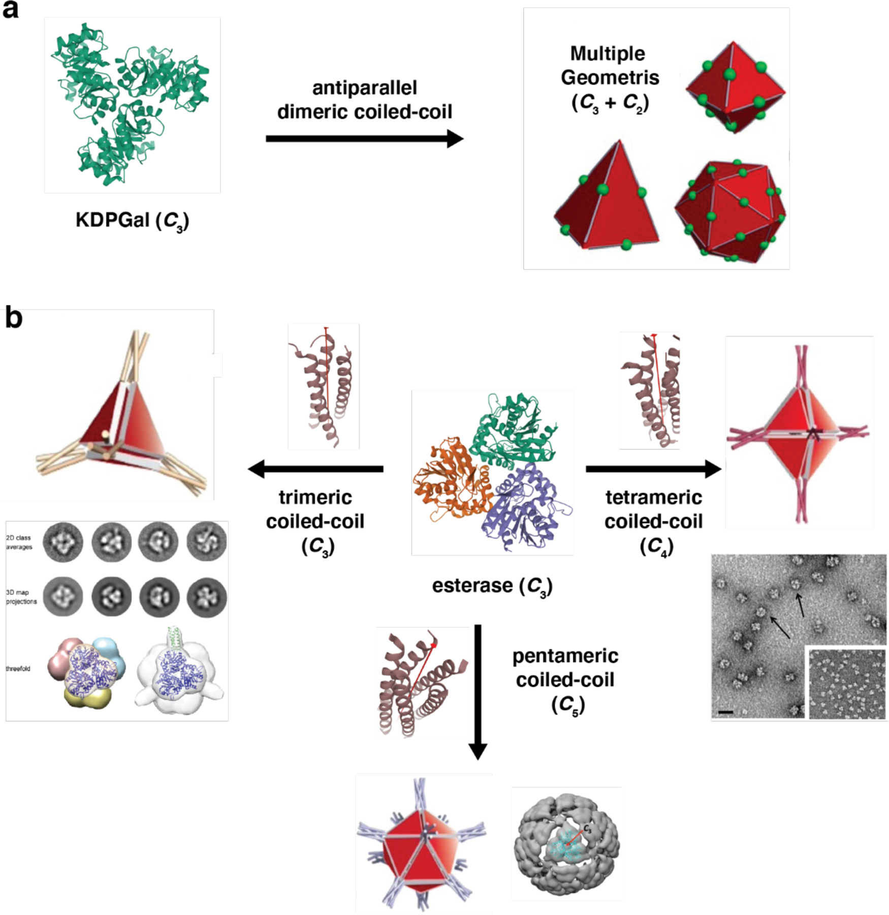 Figure 29.