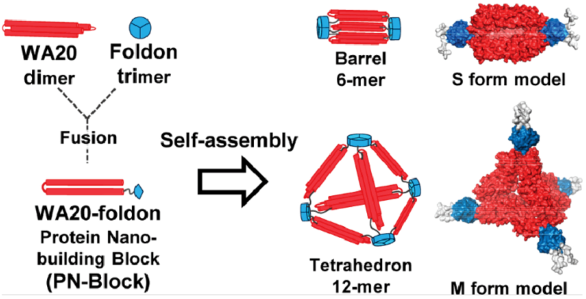 Figure 21.