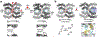 Figure 78.