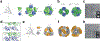 Figure 30.