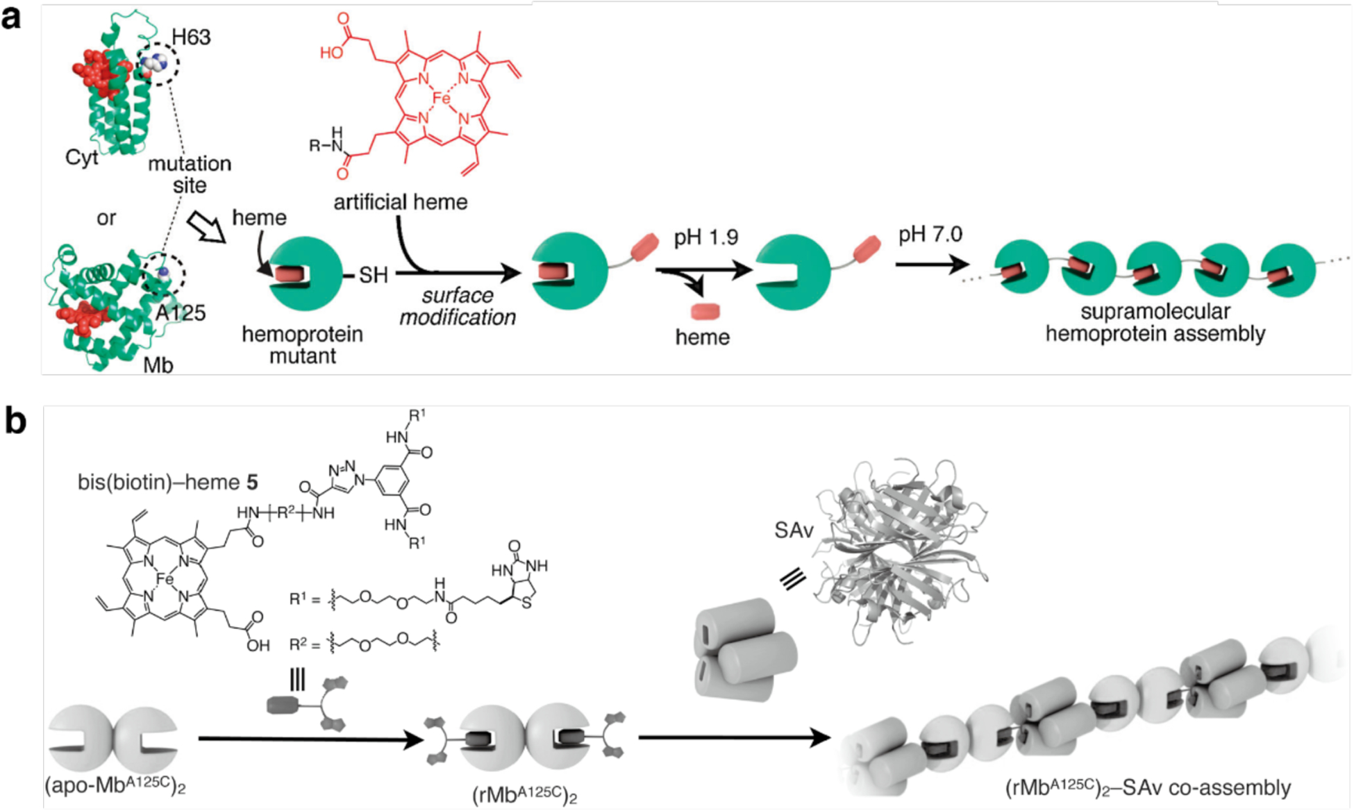 Figure 40.