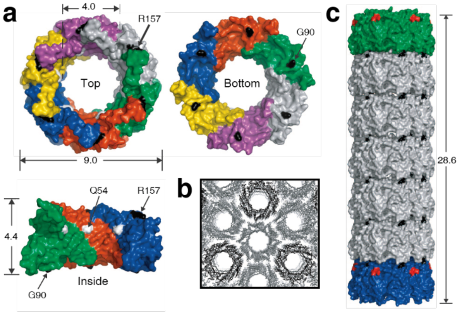 Figure 43.