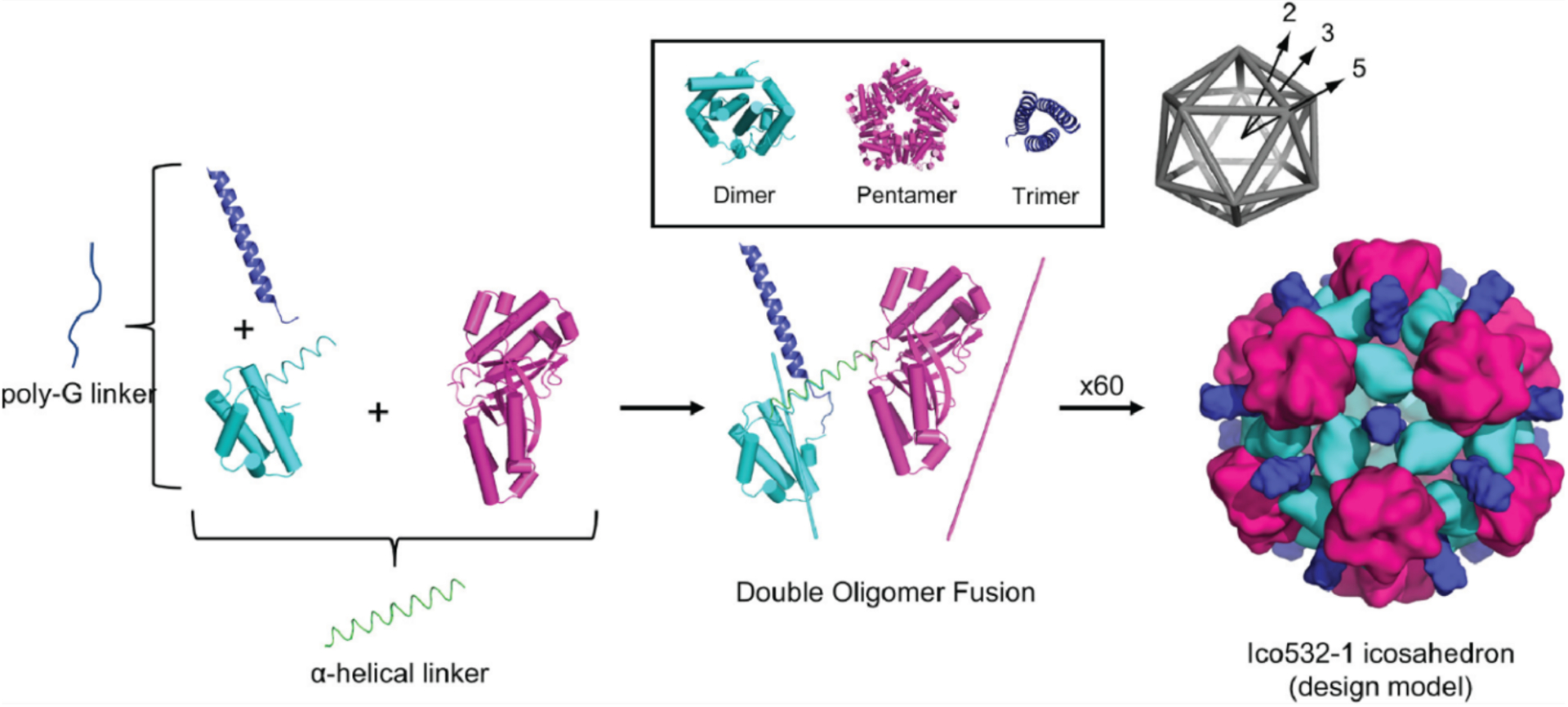 Figure 28.