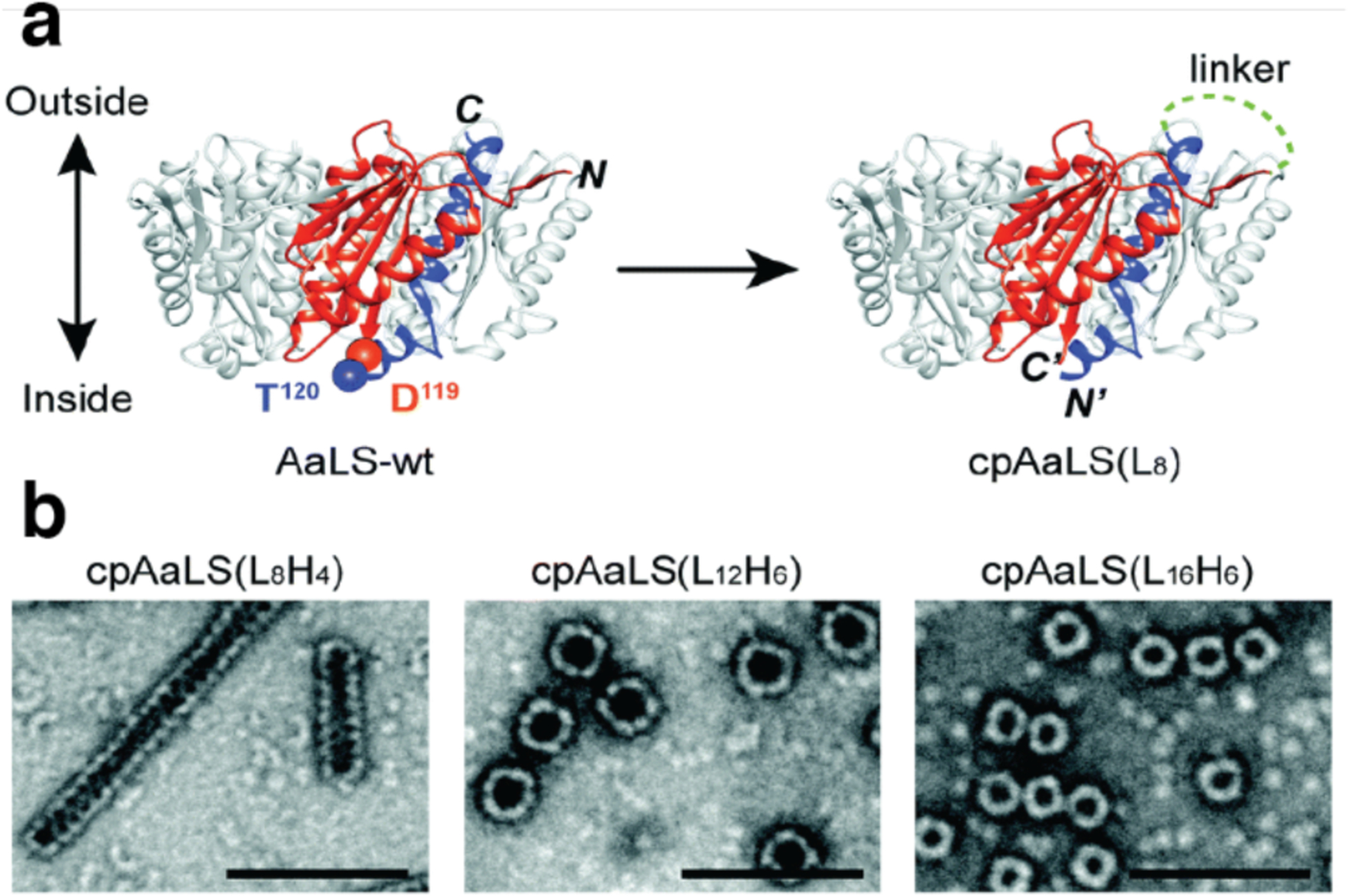 Figure 39.