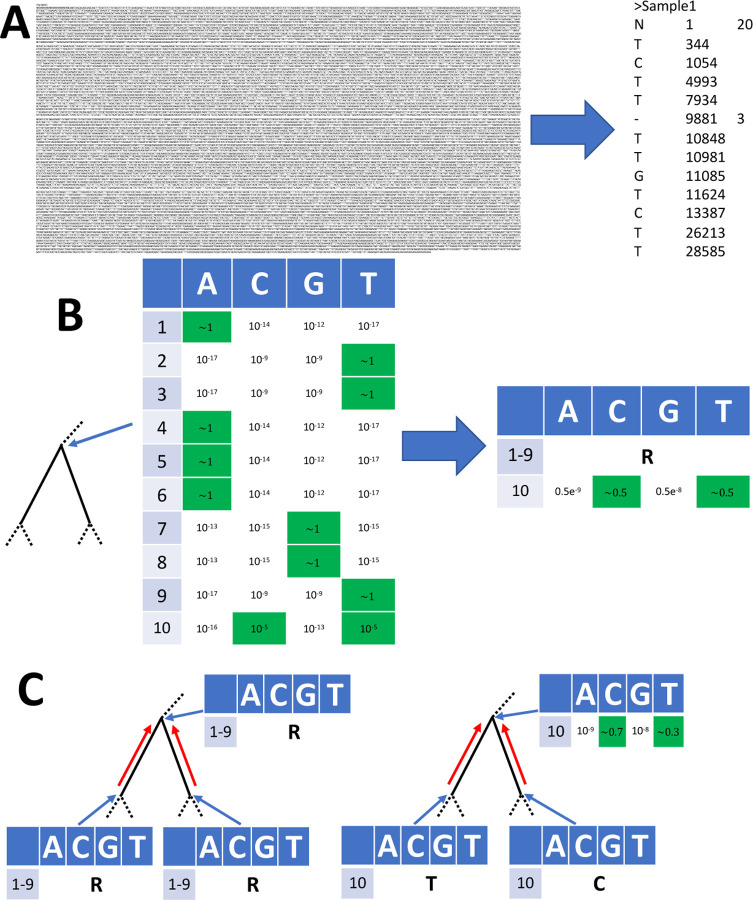 Figure 1: