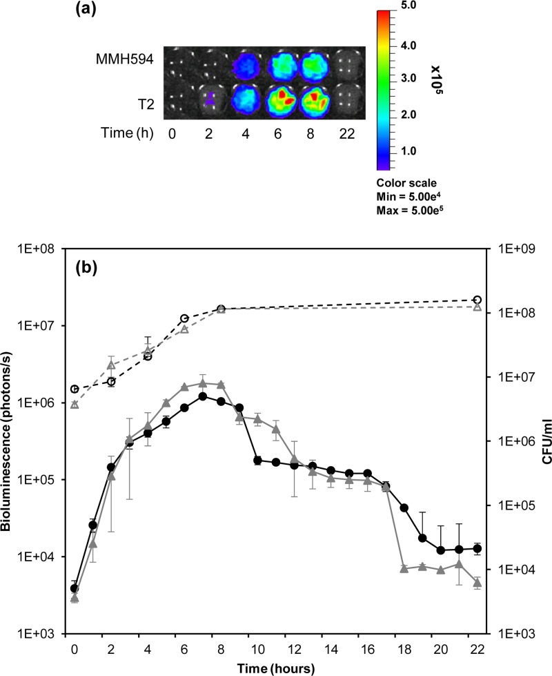 Fig 5