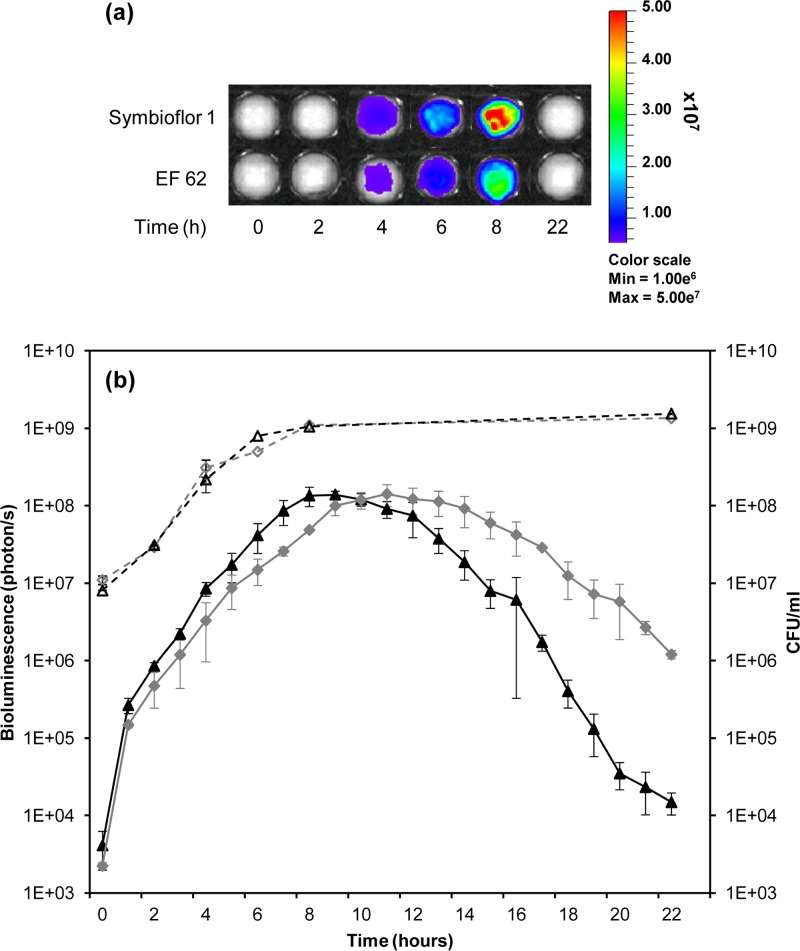 Fig 4