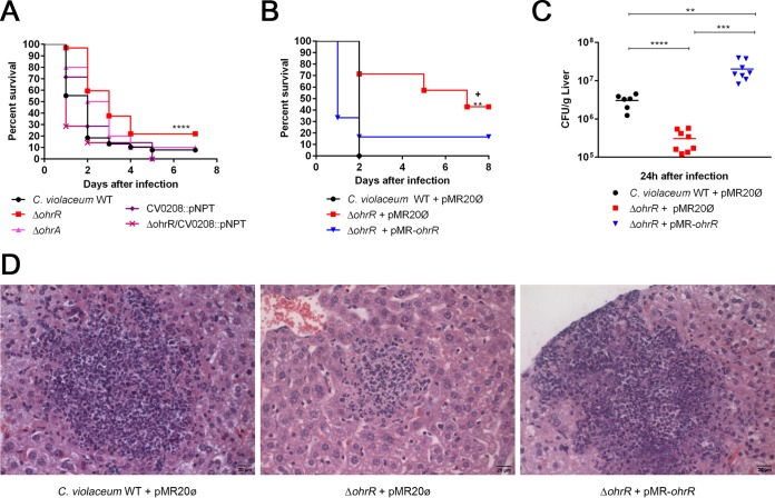 FIG 6