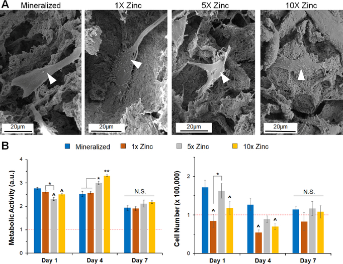 Figure 4: