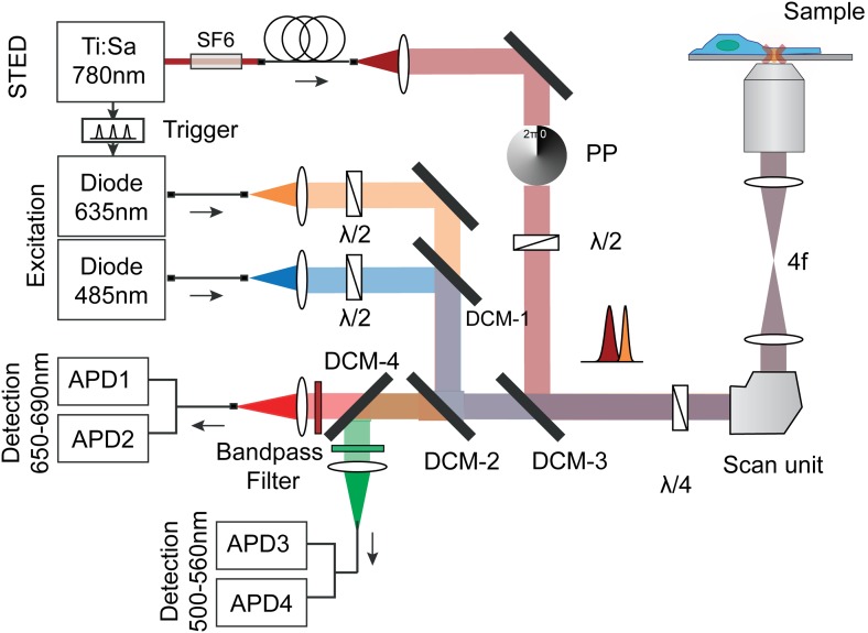 Figure 1—figure supplement 4.