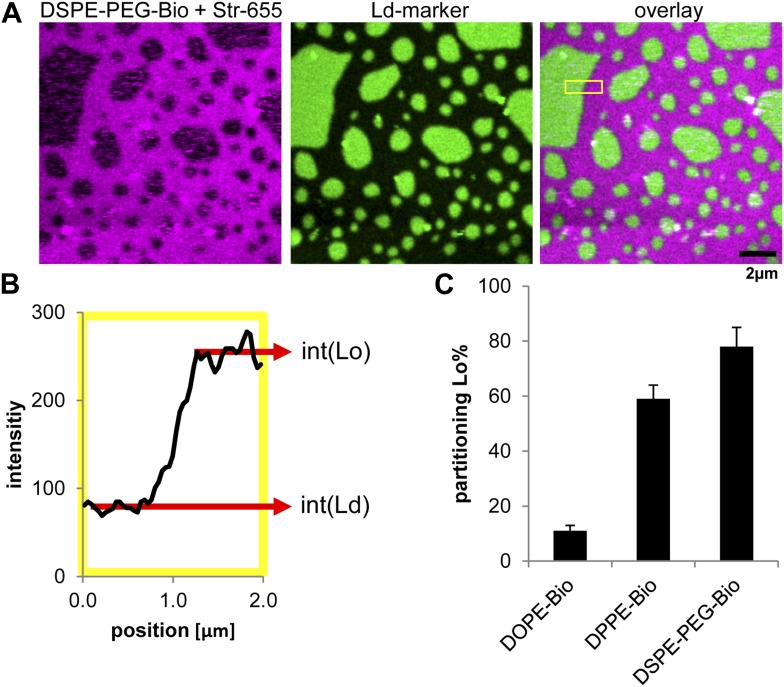 Figure 3—figure supplement 1.