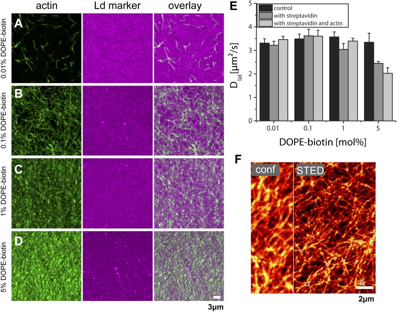 Figure 1—figure supplement 2.