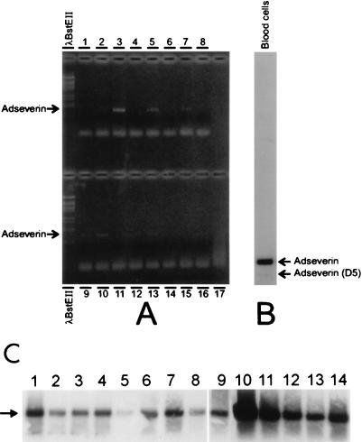 FIG. 4