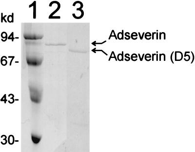 FIG. 6