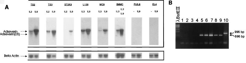 FIG. 3