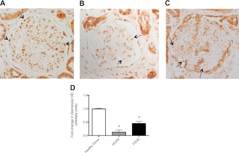 FIGURE 12.