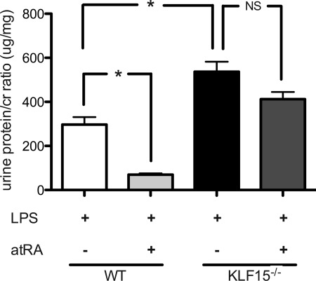 FIGURE 10.