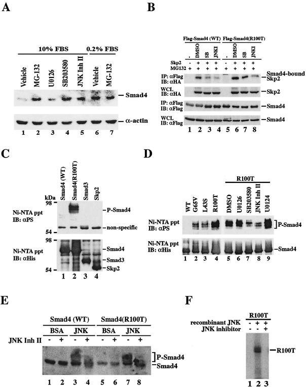 FIG. 8.