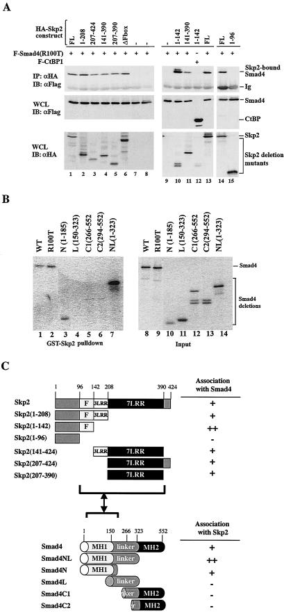 FIG.4.