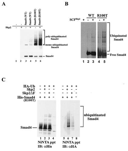 FIG. 5.