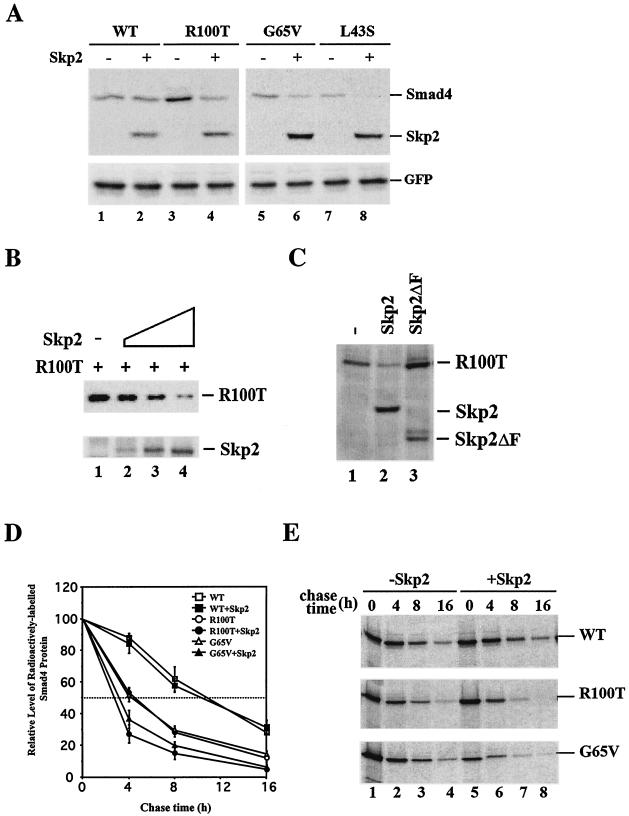 FIG. 6.