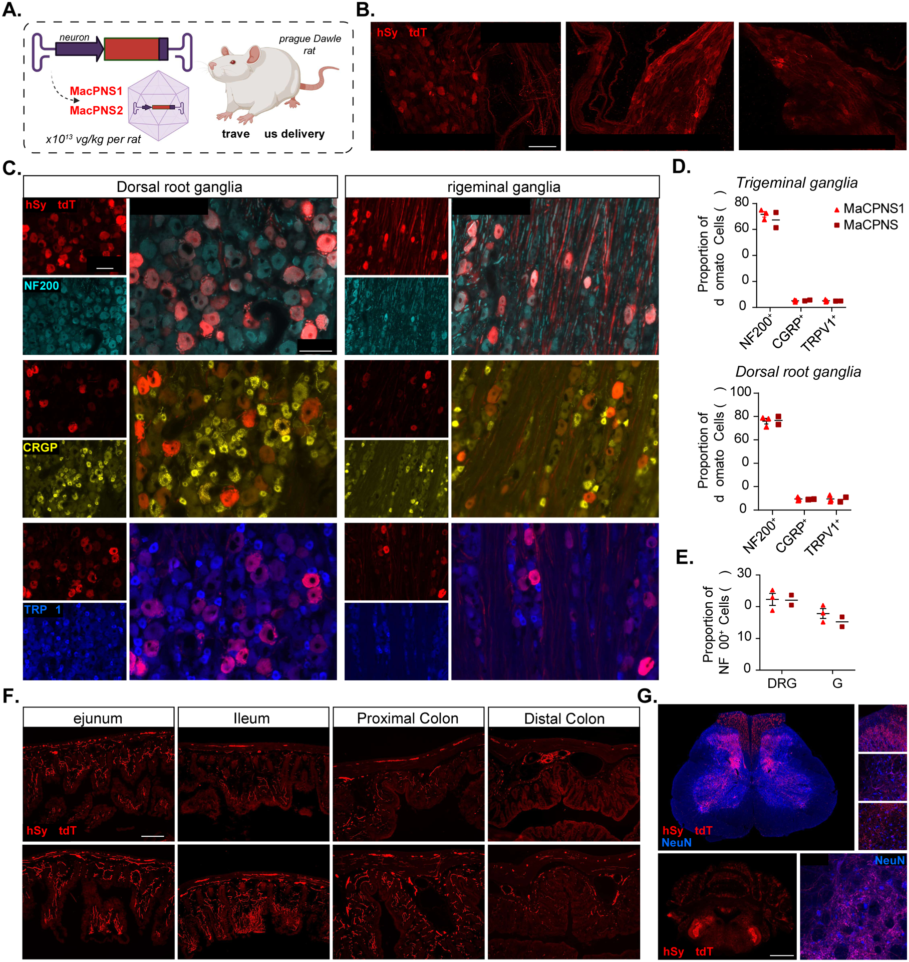 Figure 4: