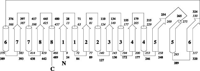 FIGURE 3