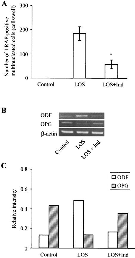 FIG. 5.