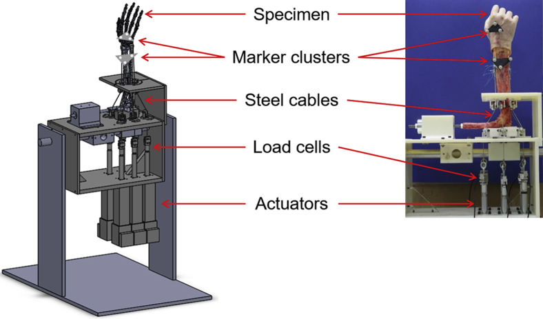 Figure 1