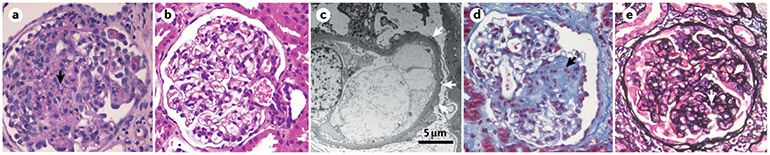 Fig. 7 ∣