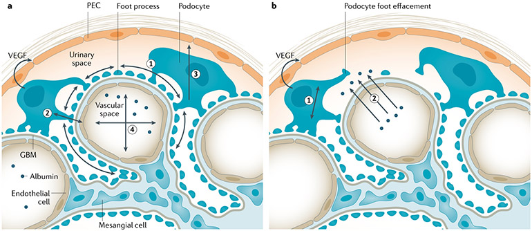 Fig. 3 ∣