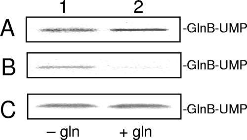 FIG. 5.