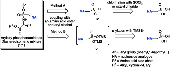 Scheme 6.