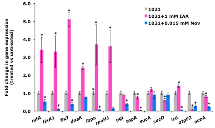 Figure 5