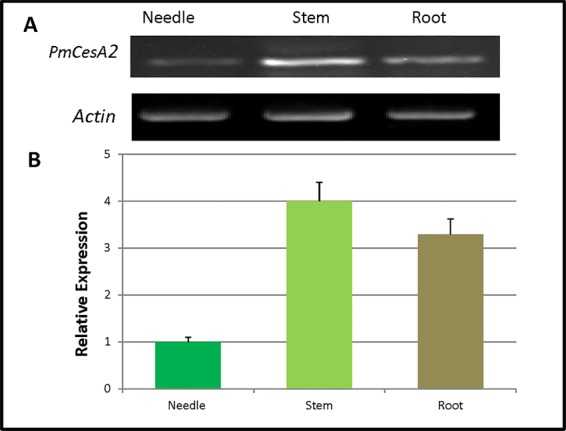 Figure 2