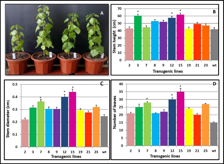 Figure 4