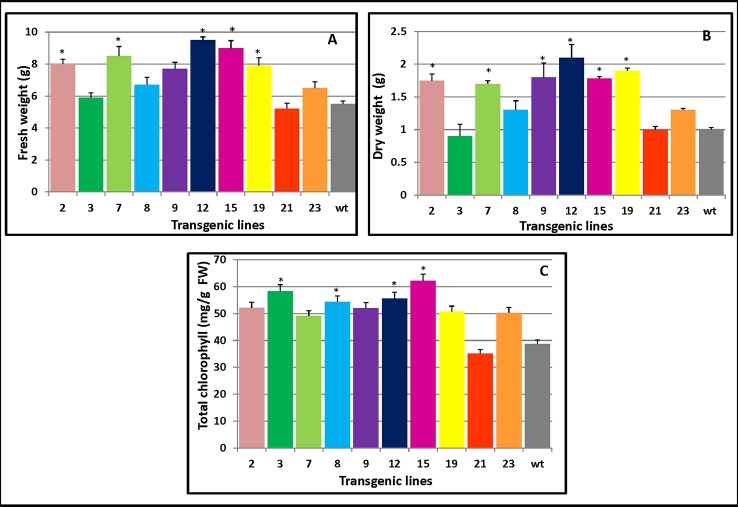 Figure 5